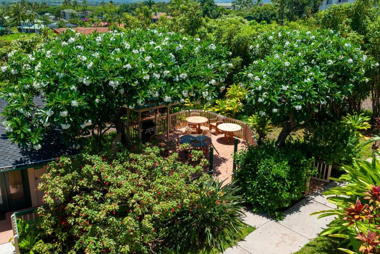 Poipu Plantation Vacation Rentals Koloa Zewnętrze zdjęcie